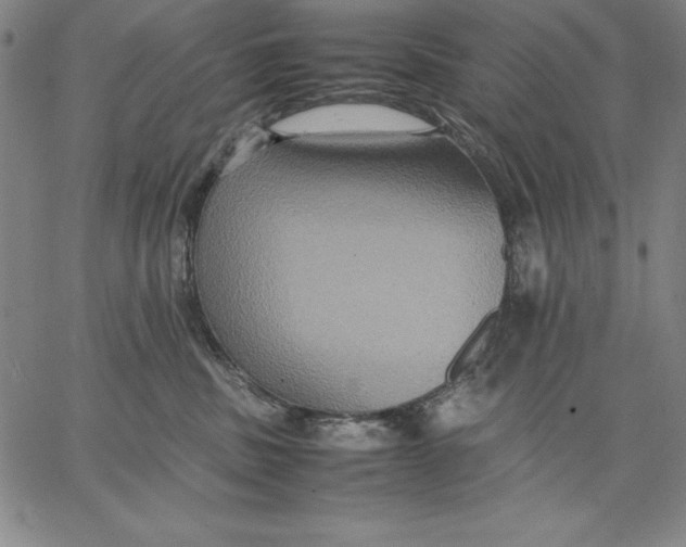 X0000066520379200604071558