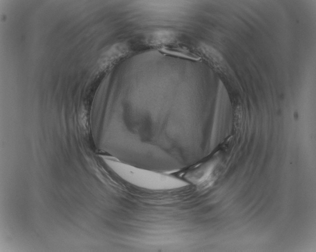 X0000066520380200604071558