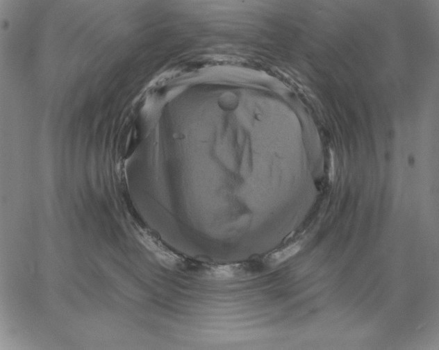 X0000066520382200604071558