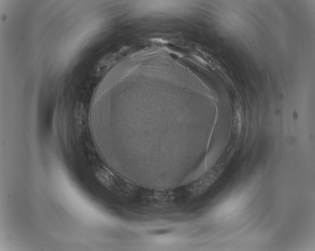 X0000066520383200604071558