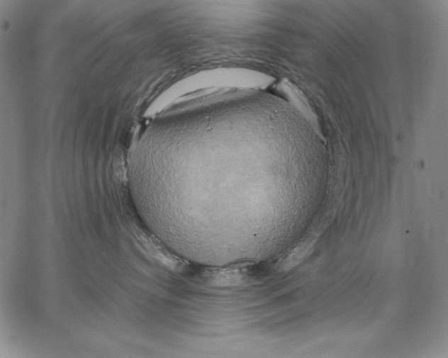 X0000066520384200604071558