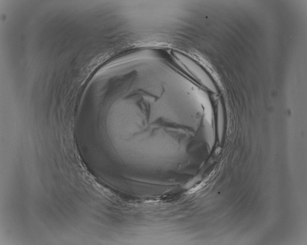 X0000066520385200604071557