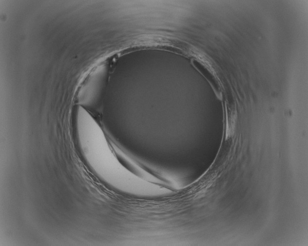 X0000066520387200604071557