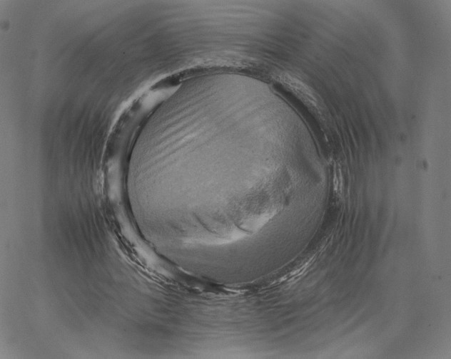 X0000066520388200604071557