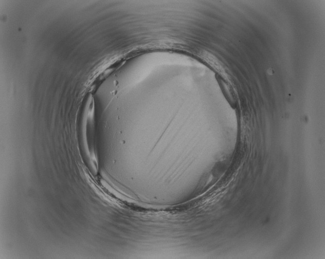 X0000066520389200604071557