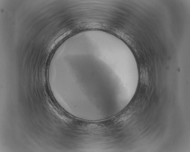 X0000066520390200604071557