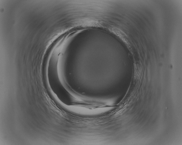 X0000066520391200604071557