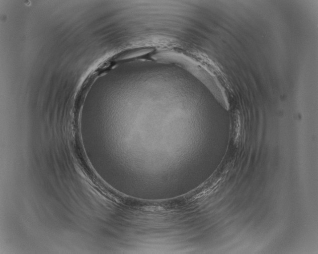 X0000066520392200604071557