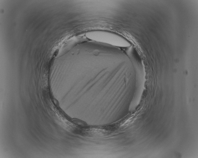 X0000066520393200604071557