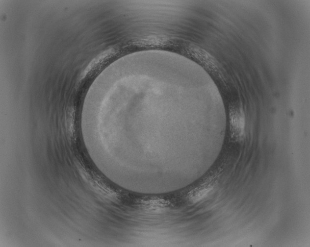 X0000066520396200604071557