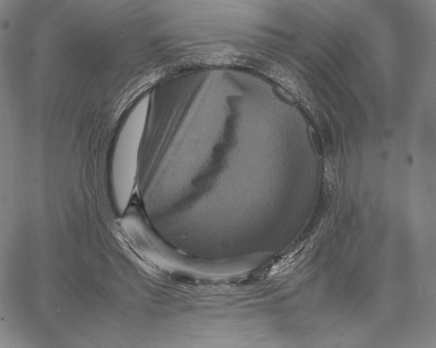 X0000066520397200604071557