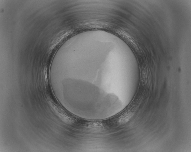 X0000066520398200604071557