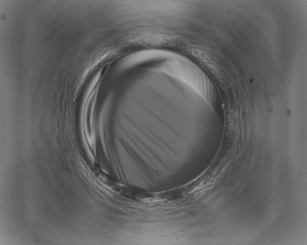 X0000066520399200604071557