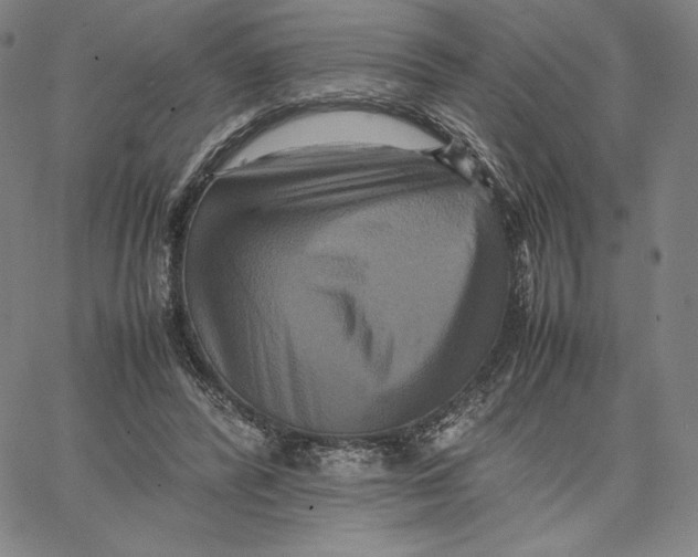 X0000066520400200604071557