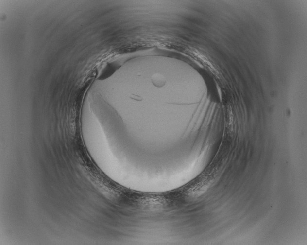 X0000066520402200604071557