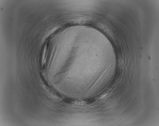 X0000066520403200604071557