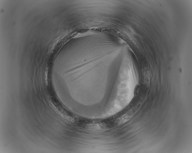 X0000066520404200604071557