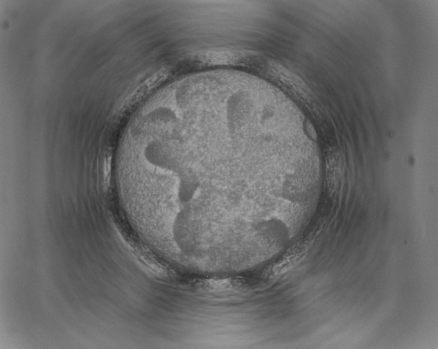 X0000066520406200604071557