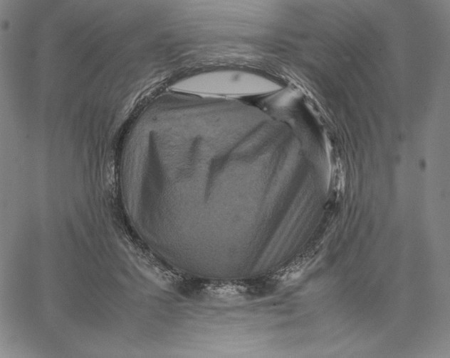 X0000066520407200604071557