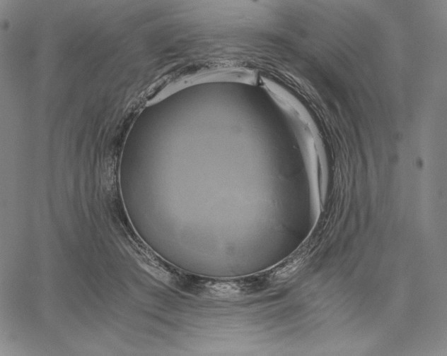 X0000066520409200604071557