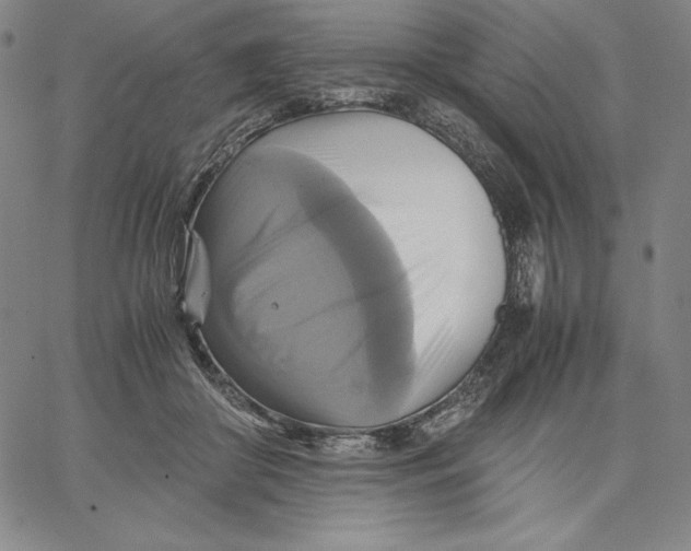 X0000066520410200604071557