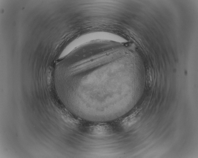 X0000066520412200604071557