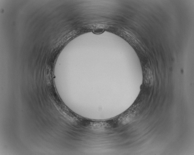 X0000066520414200604071557