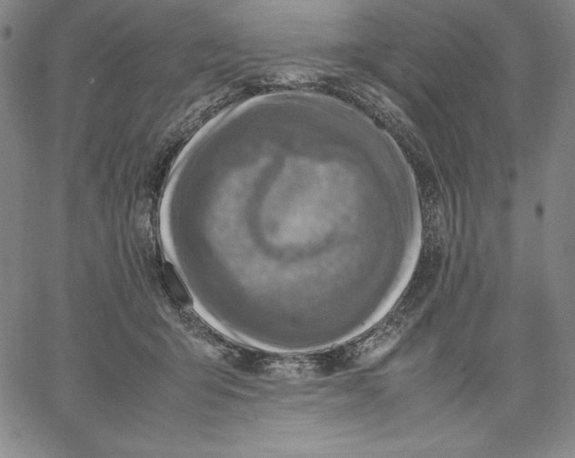 X0000066520415200604071557