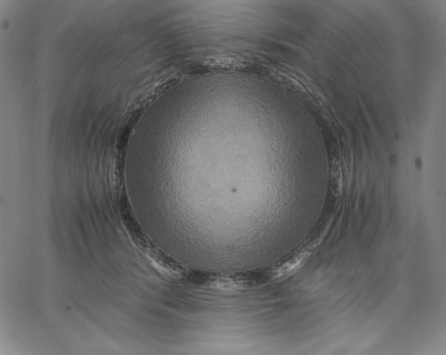 X0000066520416200604071557