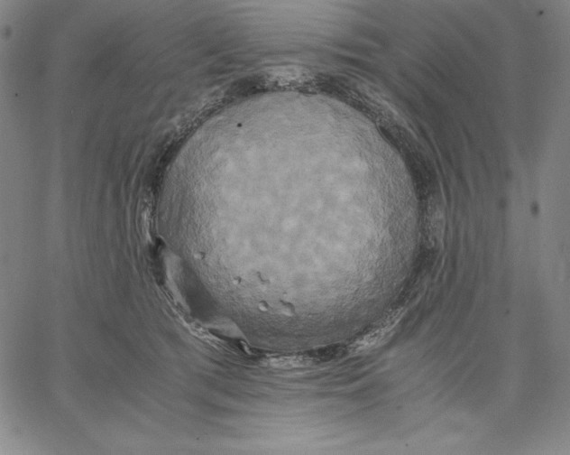 X0000066520417200604071557