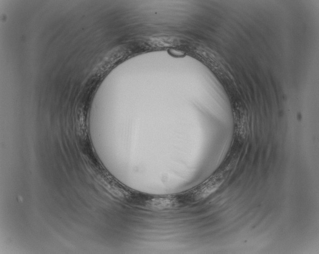 X0000066520418200604071557