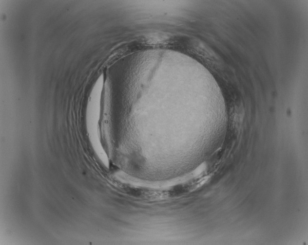 X0000066520421200604071557