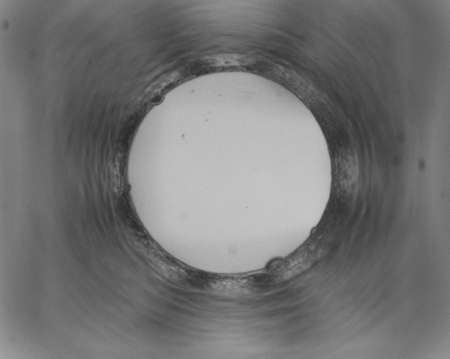 X0000066520422200604071556