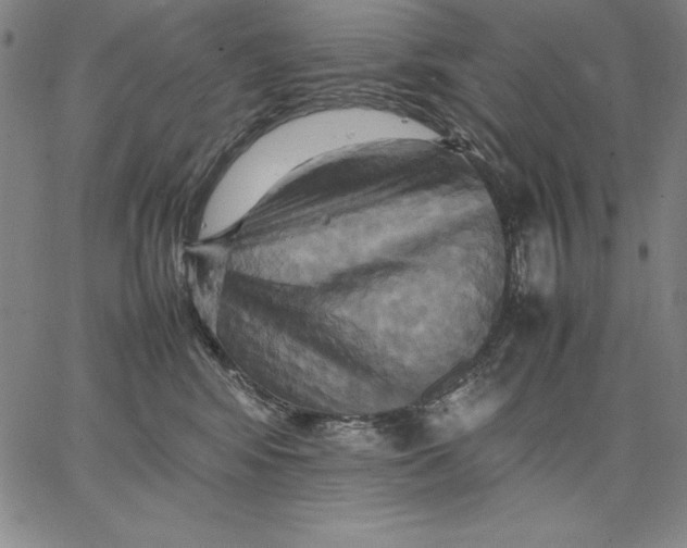 X0000066520424200604071556