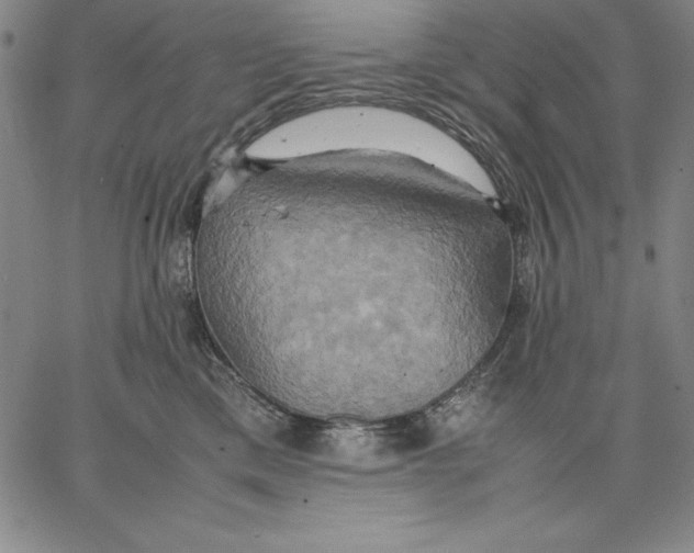 X0000066520425200604071556