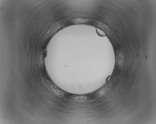 X0000066520426200604071556