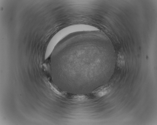 X0000066520428200604071556