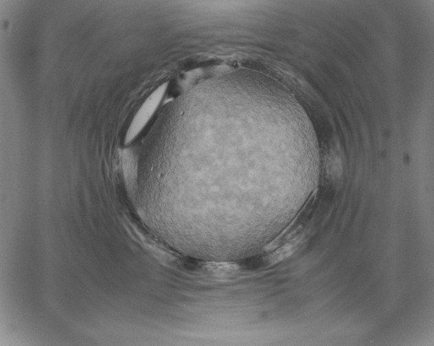 X0000066520429200604071556