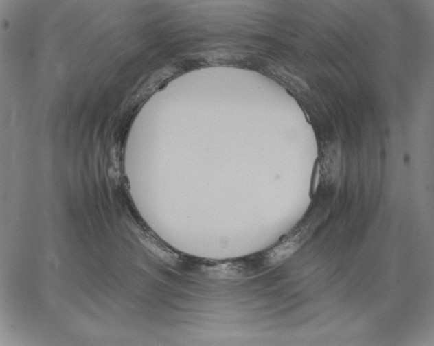 X0000066520430200604071556