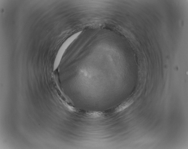 X0000066520432200604071556