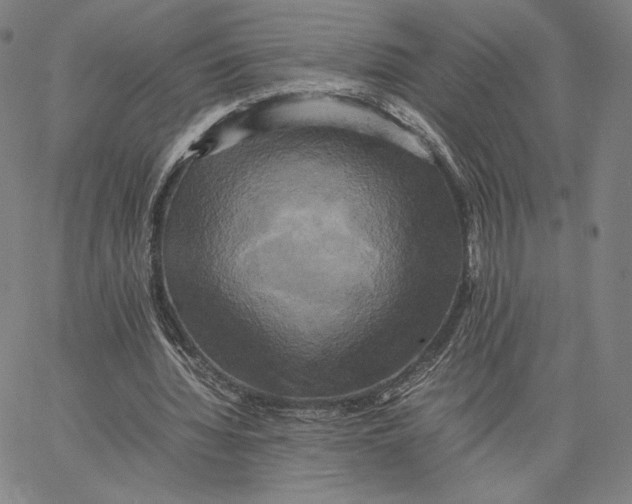 X0000066520436200604071556