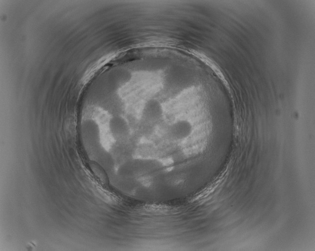 X0000066520437200604071556