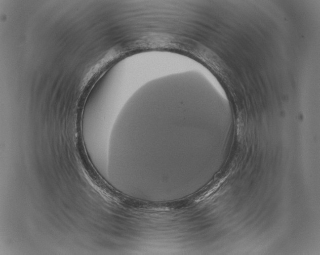 X0000066520438200604071556