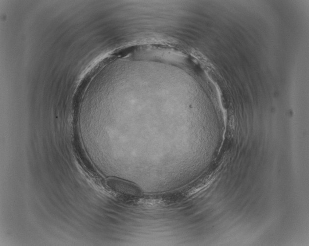 X0000066520440200604071556