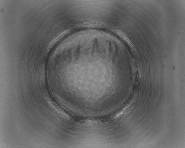 X0000066520442200604071556