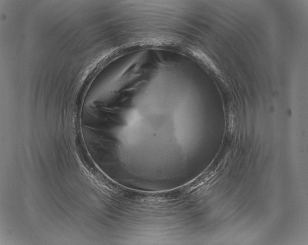 X0000066520444200604071556