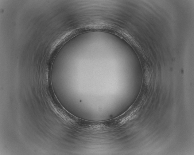 X0000066520446200604071556