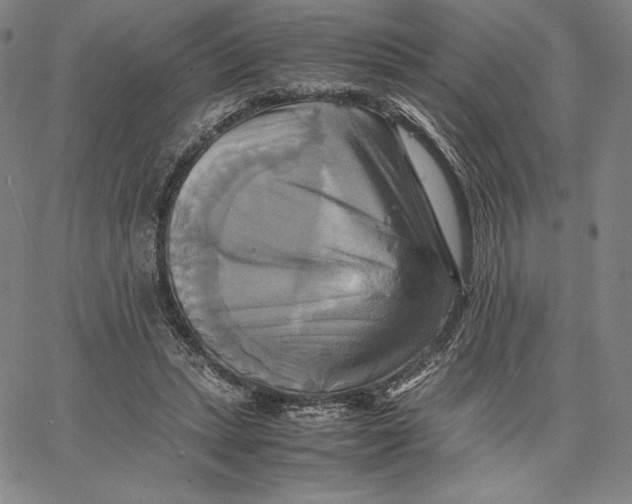 X0000066520447200604071556