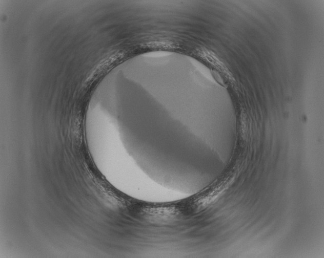 X0000066520449200604071556