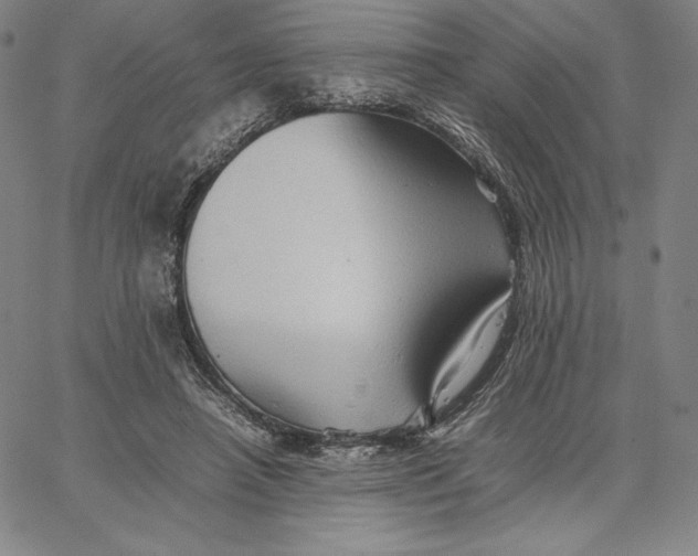 X0000066520450200604071556